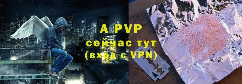 A PVP СК КРИС  Губкин 